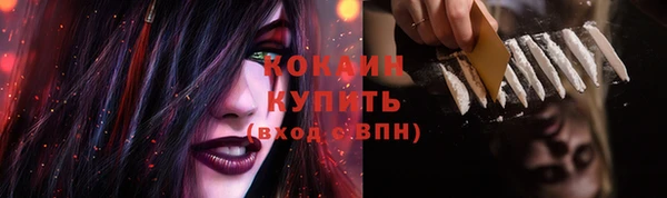 ECSTASY Сосновка