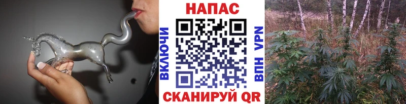 Купить закладки  Подольск  Бошки Шишки SATIVA & INDICA 